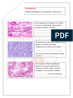 Taller-3-Ejercicio-A patologica