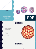Virus BK (8976)
