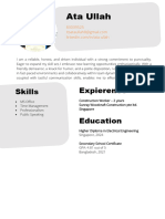 CV Template 0010