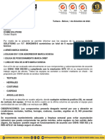 INFORME DE INSPECCION- ESGRYMA (1)