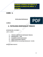 Curs 3.: Chirurgie Animale de Renta Si Prelegeri Clinice Pe Specii 3 Cornel Igna