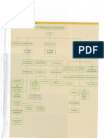 esquema circulación 2