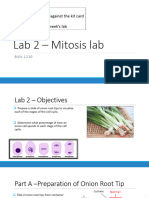 BIOL 1210 Lab 2 Mitosis Lab