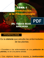 PPT - INTRODUCCIÓN A LA FITOPATOLOGIA 1