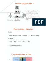 Phoyosynthèse 1