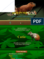 6_Roedores_Cutia_pdf