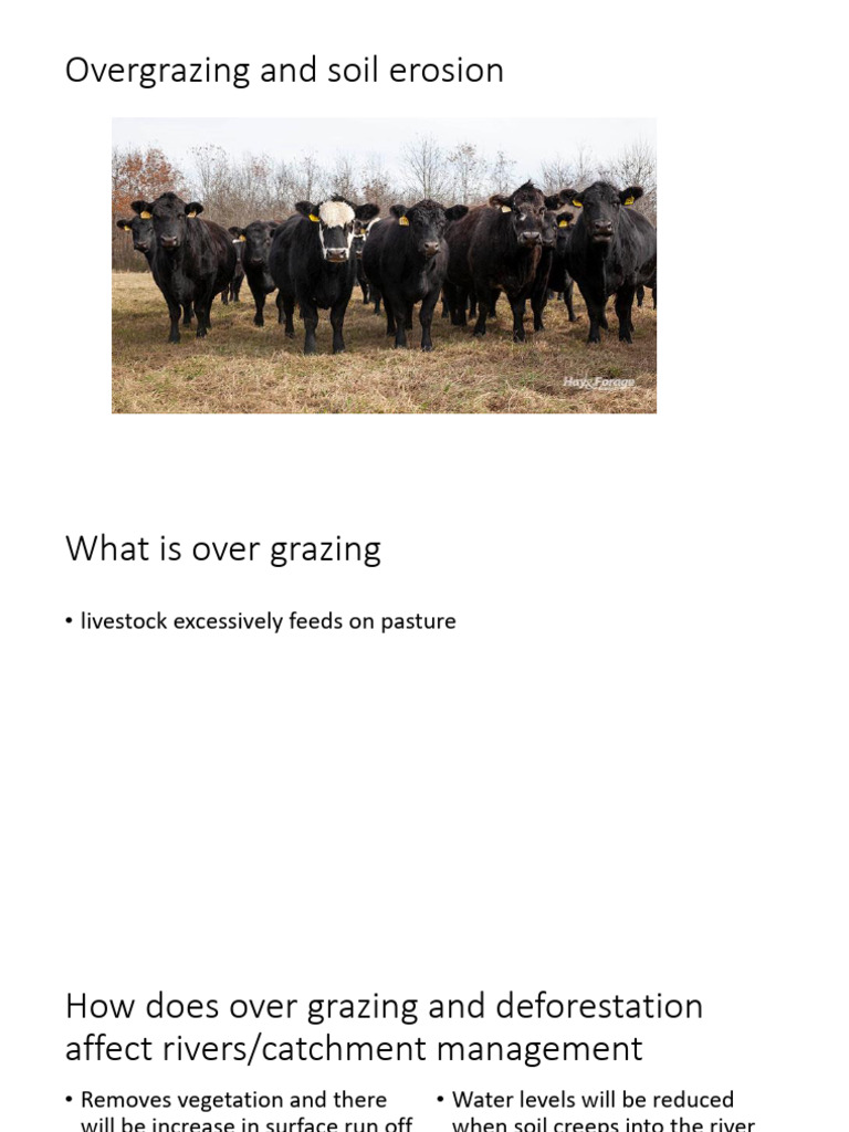 Overgrazing, Deforestation & River Impact | PDF | Deforestation | River