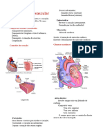 Sistema Cardiovascular (5)