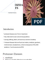 Antiprotozoal Agents