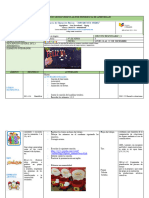 Semana 17 Preparatoria