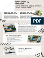 Infografía Cómo Cuidar Tus Plantas Orgánico Scrapbook Crema - 20240220 - 113448 - 0000