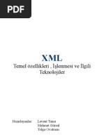 XML Word