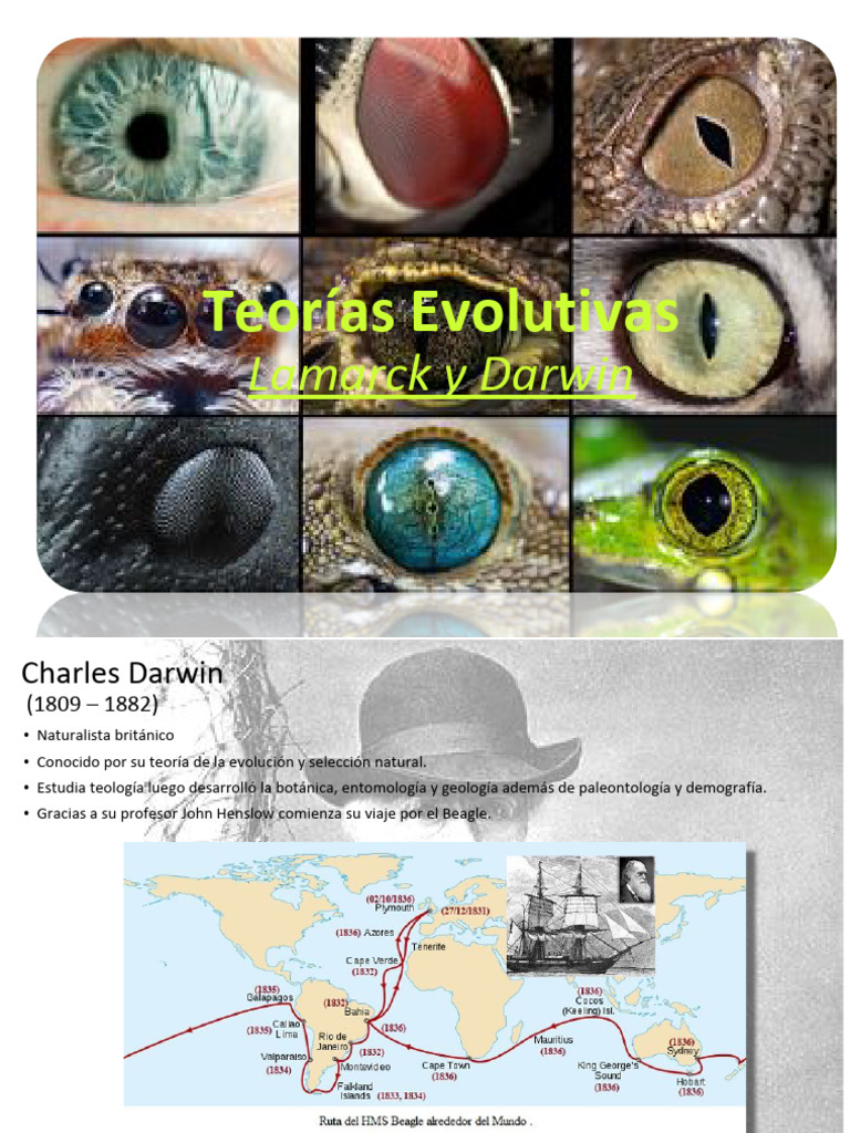 Teoría de Darwin | PDF | Seleccion natural | Charles Darwin