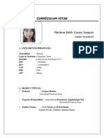 Curriculum Vitae Descriptivo 2023