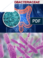 Familia Enterobactericeae II