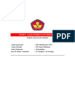 Modul Ajar Kelas 4 Mapel Matematika - Fitri Hardiyanti, S.PD