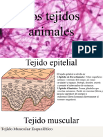 Los Tejidos Animales.