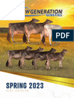 Top 100 TPI International Bulls | PDF