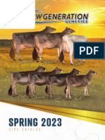 NGG Catalogo Abril 2023