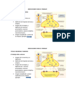 Material 3º Medio (Sinapsis Quimica)