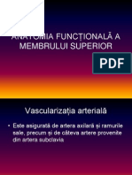 ANATOMIA FUNCȚIONALĂ A MEMBRULUI SUPERIOR