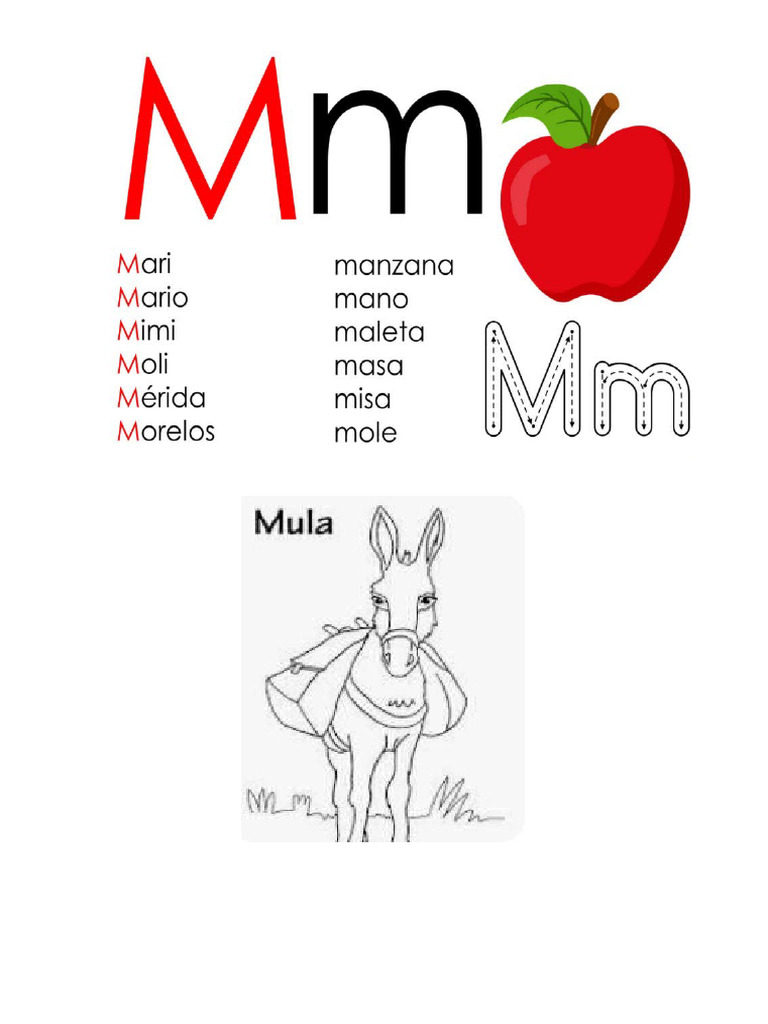 La M y La P | PDF