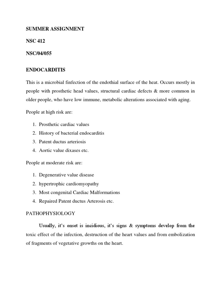 Summer Assignment | PDF