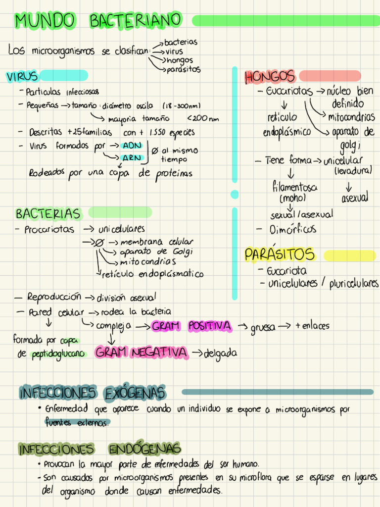 Clasificación y Estructura de Bacterias | PDF | Las bacterias | Plásmido