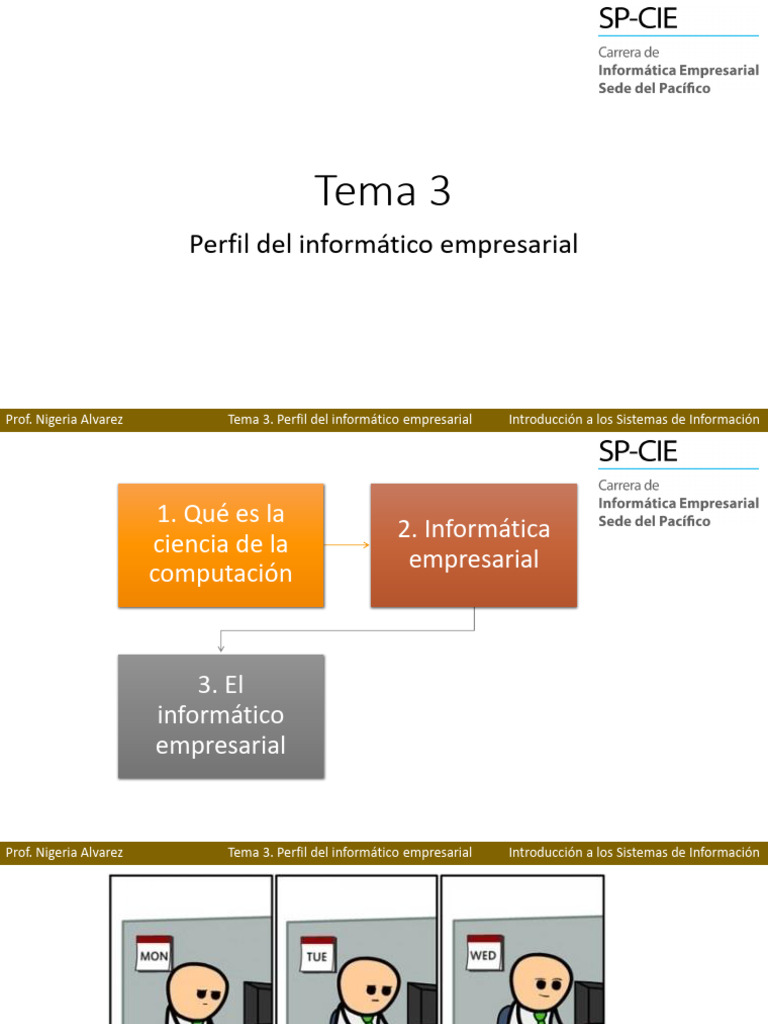 Tema 3 Perfil Del Informático Empresarial | PDF | Ciencias de la ...