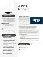 Professional CV Resume