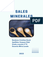 Informe sobre las Sales minerales