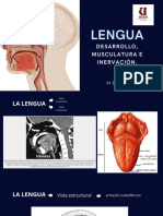 Lengua