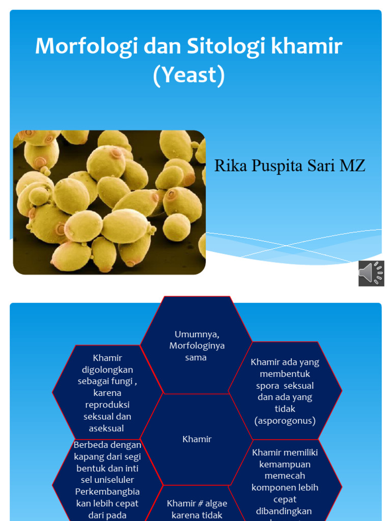 Nastya Bakeevaning porno videolari