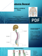 Clase Columna Vertebral y Tórax