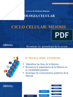 Practica 13 Meiosis