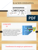 Fosforilacion Oxidativa