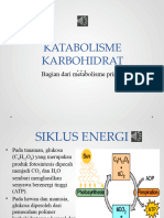 Katabolisme Karbohidrat_PPT Bersuara Oke