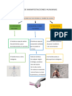 Mapa Conceptual en Grupo MANIFESTACIONES QUE NOS SEPARAN DEL HOMBRE LISTO