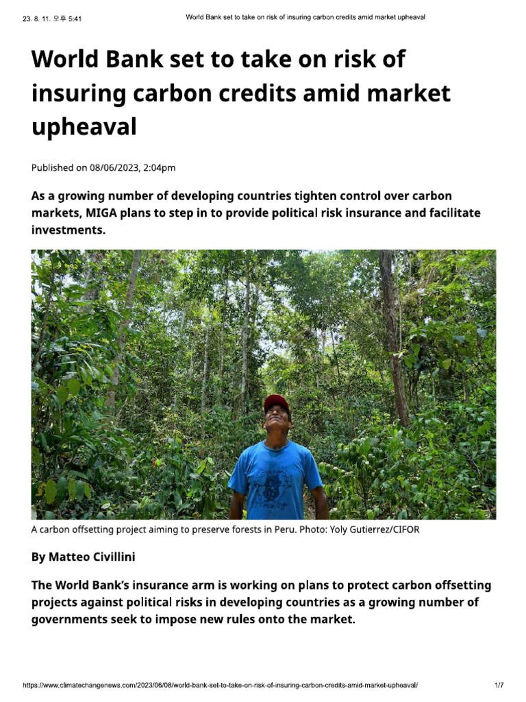 World Bank Set To Take On Risk of Insuring Carbon Credits Amid Market ...