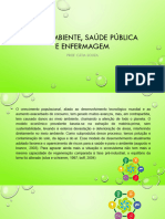 Meio ambiente, saúde pública e enfermagem