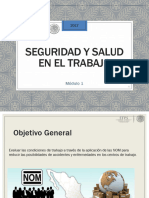 Seguridad y Salud en el Trabajo M1 (1)