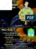 Plant Needs Soil