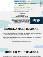 Biopsicosocial Modelo Multicasual