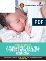 Informe Del Seminario La Anemia Infantil en El Peru