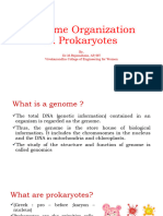 Genome Organization