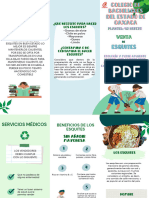 Tríptico Informativo Del Día Mundial de La Educación Ambiental Ilustrado Verde