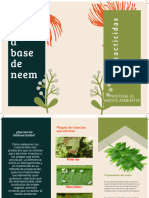 Infografía de Bioinsecticida: neem 
