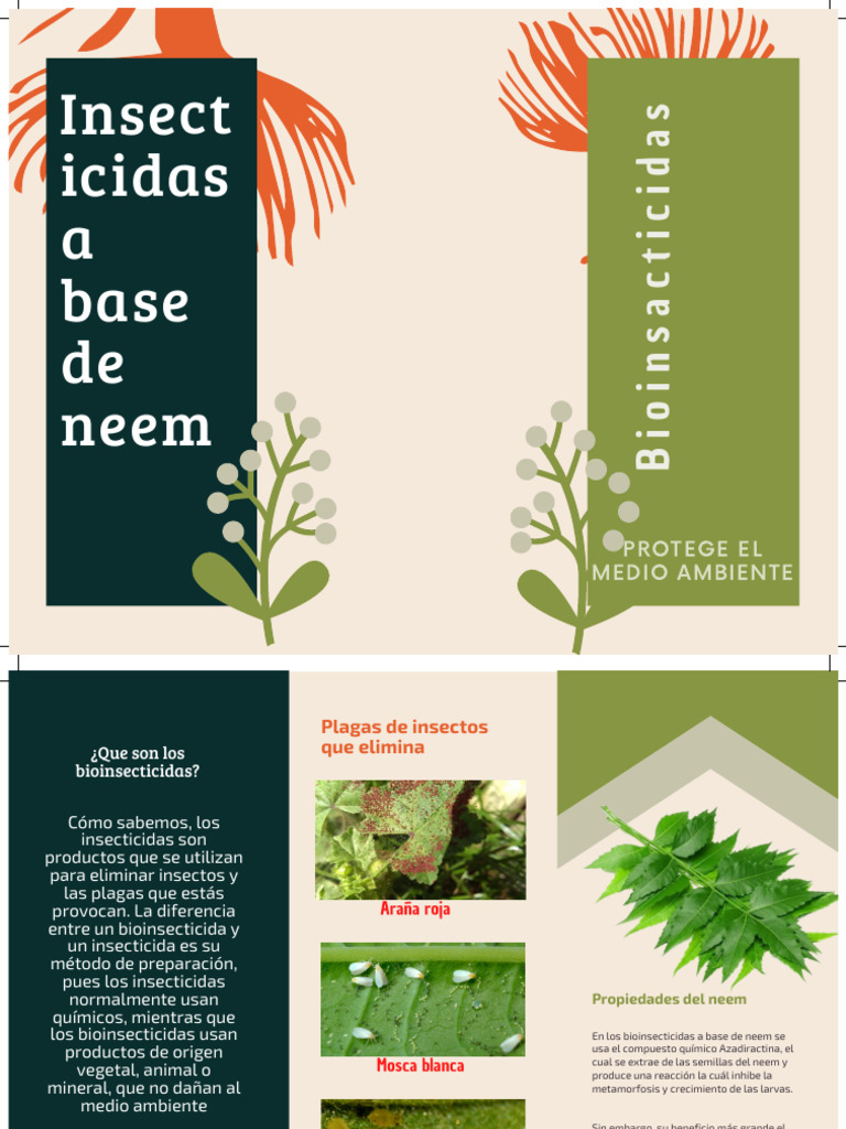 Infografía de Bioinsecticida: Neem | PDF