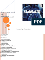 Azotobacter As Bioferilizer