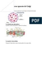 Proceso Aparato de Golgi